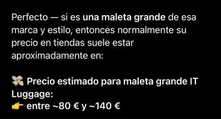 Maleta IT Grande Negra, sin estrenar.