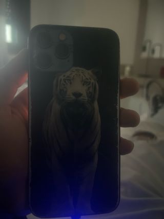 iPhone 12 Pro Max Negro