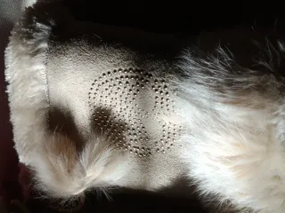 Guantes sin dedos con calavera y pelo