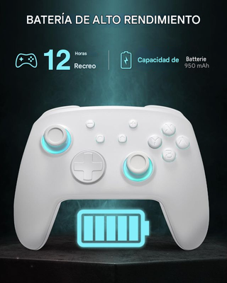 Controlador Inalámbrico Switch Blanco Diseño