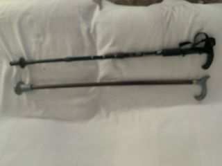 Bastones de senderismo y bastón