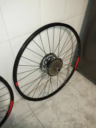 Ruote 29 MTB con disco