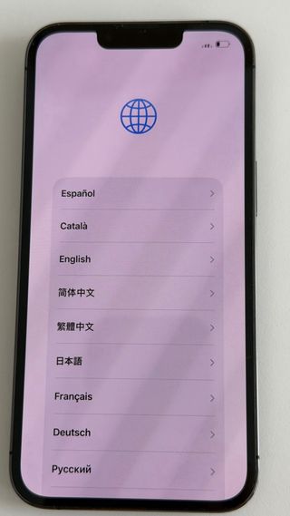 iPhone 13 Pro 256GB Argento