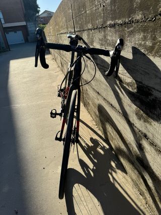 Bicicleta Trek Domane Carbono