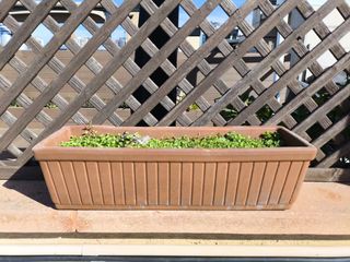 (4u.) Jardineras de Barro Veneciana 60cm