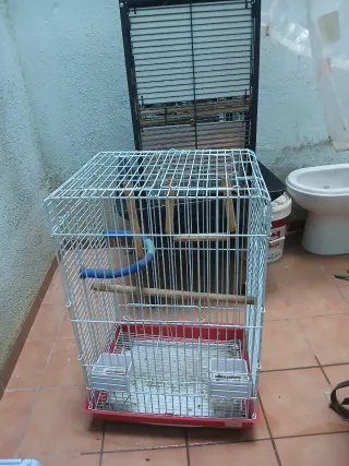 Jaulas grandes para loros
