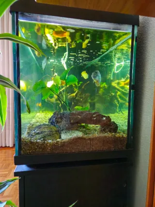 Acuario 350L Completo