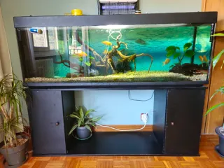 Acuario 350L Completo