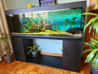 Acuario 350L Completo