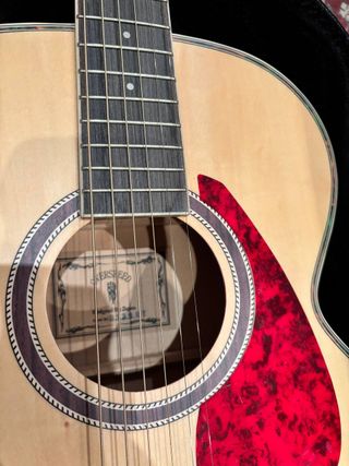 Guitarra Acústica con Estuche Rígido