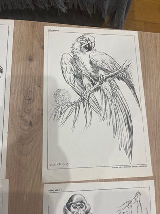 Láminas animales y dioses