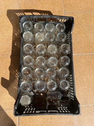 Lote 24 Vasos de agua