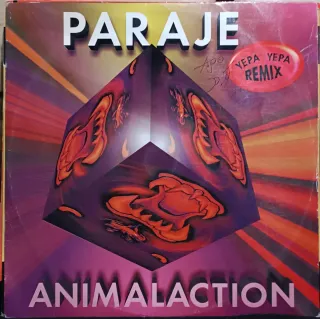 9 Vinili Dance Anni '90