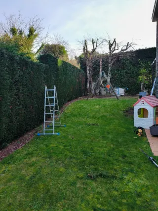 Servicios de poda de setos y jardinería en general