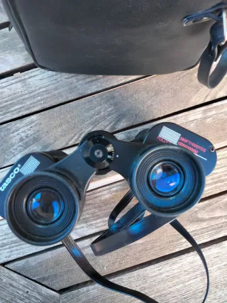 Prismáticos negros con funda