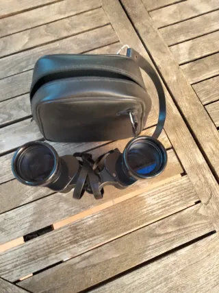 Prismáticos negros con funda