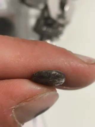 Moneda Griega-Fenicia Arados 1/3 de Statera