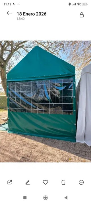 Estructura de carpa verde con ventanas