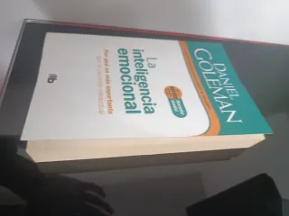 La Inteligencia emocional: Por qué es más impor...