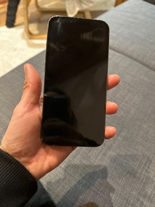 iPhone 13 Pro con custodia gratuita