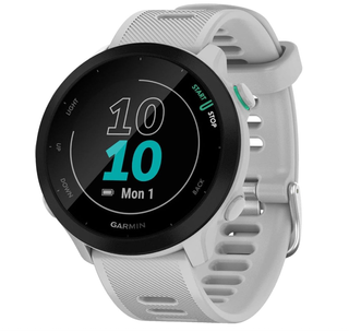 Garmin Forerunner 55 Reloj GPS Gris