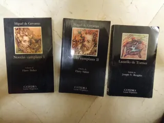 Lote Novelas ejemplares, Cervantes. Lazarillo Tor