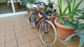 Bicicleta de paseo con silla infantil