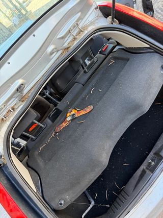 Despiece Ford Fiesta 1.4 TDCI Año 2003 / 2007