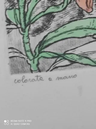 Coppia di acqueforti con gatti e farfalle