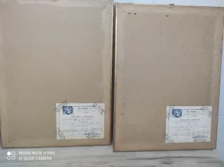 Coppia di acqueforti con gatti e farfalle