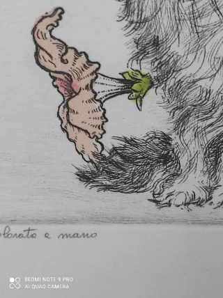 Coppia di acqueforti con gatti e farfalle