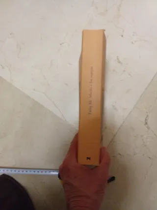 Miedo a los espejos (Alianza Literaria) (Spanis...