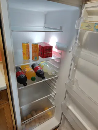 Nevera pequeña Selecline