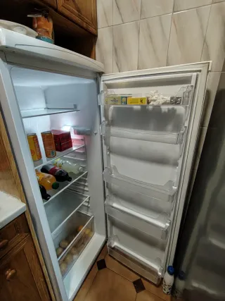 Nevera pequeña Selecline