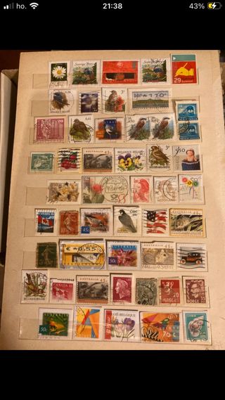 58) Lotto Francobolli Misti Mondo