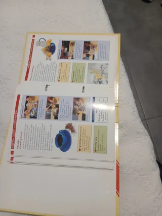 Libro antiguo de recetas y remedios de la abuela