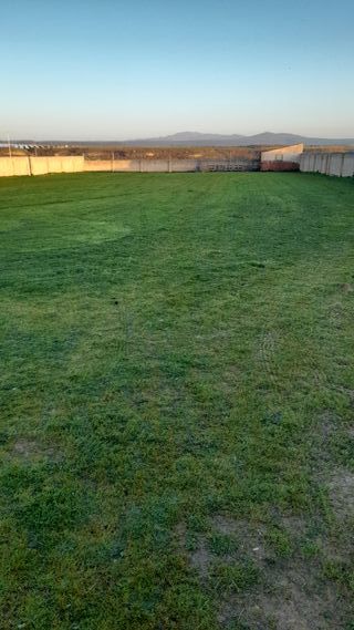 Se alquila terreno para eventos