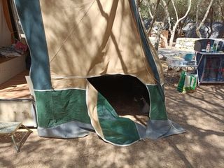 Remolque tienda Comanche Compact