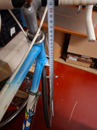 Bicicleta Clásica Laiz en buen estado