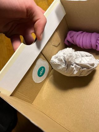 Nike SB Dunk Low Chameleon