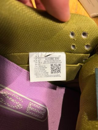 Nike SB Dunk Low Chameleon