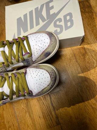 Nike SB Dunk Low Chameleon
