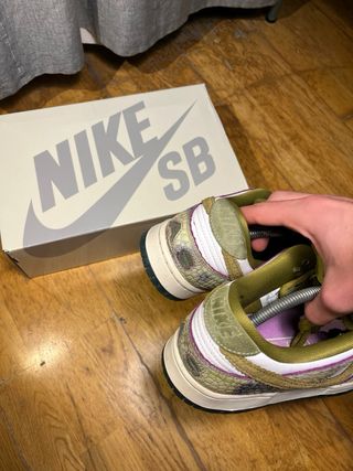 Nike SB Dunk Low Chameleon