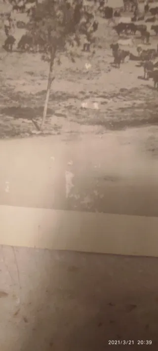 Fototipia Hauser y Menet Sevilla 1932