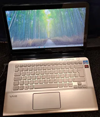 Sony Vaio Portátil Plata