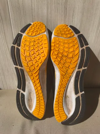 Zapatillas Nike Air Zoom Pegasus Talla 41