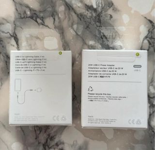 Caricabatterie Apple 20W + Cavo Lightning