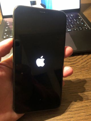 iPhone 11 Pro Max 256GB Verde Noche