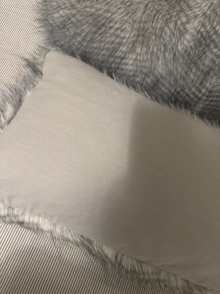 Dos cojines pelo Zara Home grises