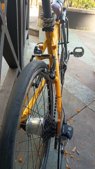 Dahon Speed TT Pro